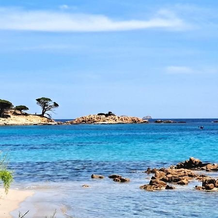 Le Berceau D'Asciaghju Palombaggia - Acces Plage Et Piscine Privee Πόρτο Βέκιο Εξωτερικό φωτογραφία
