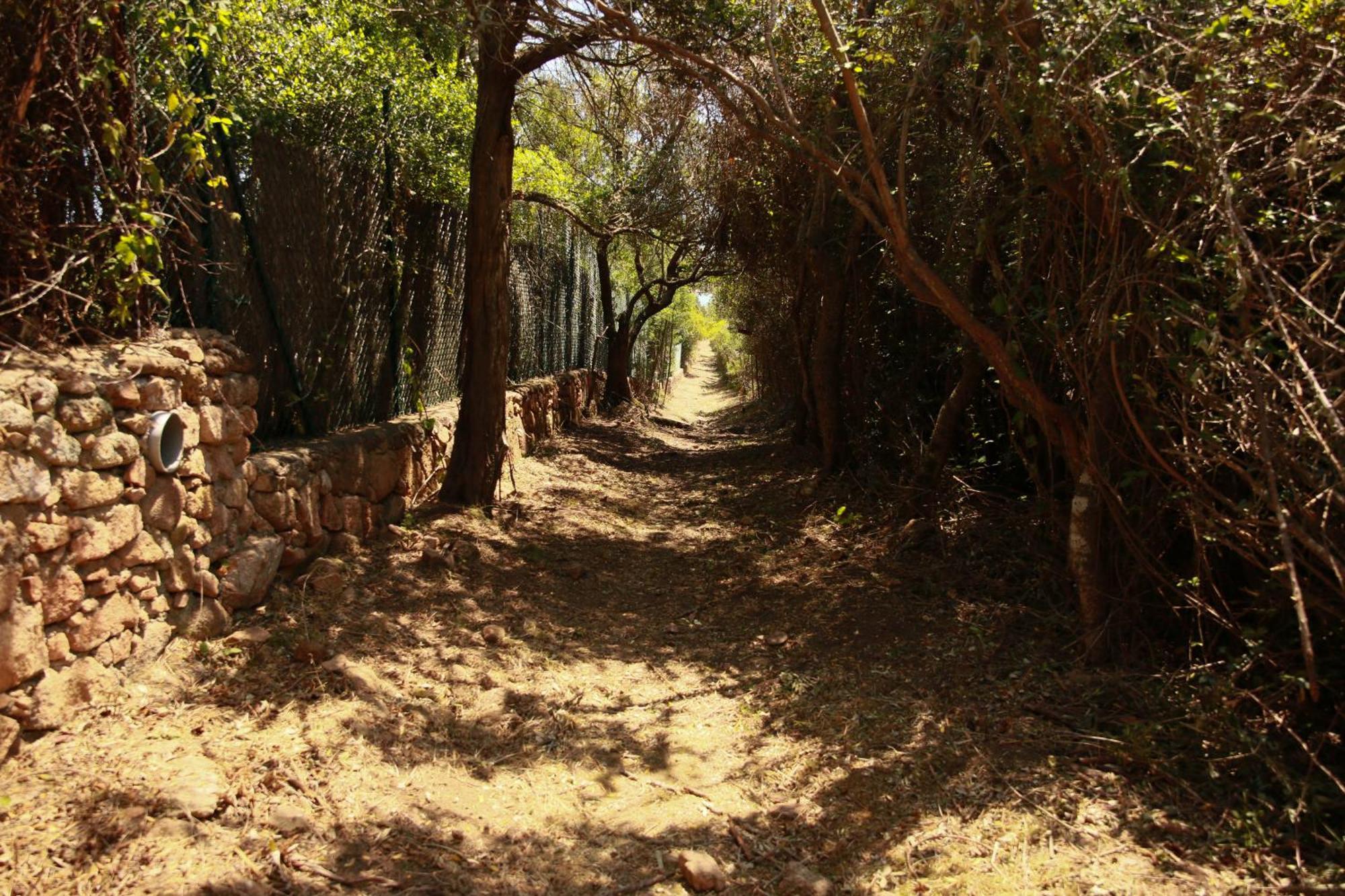 Le Berceau D'Asciaghju Palombaggia - Acces Plage Et Piscine Privee Πόρτο Βέκιο Εξωτερικό φωτογραφία