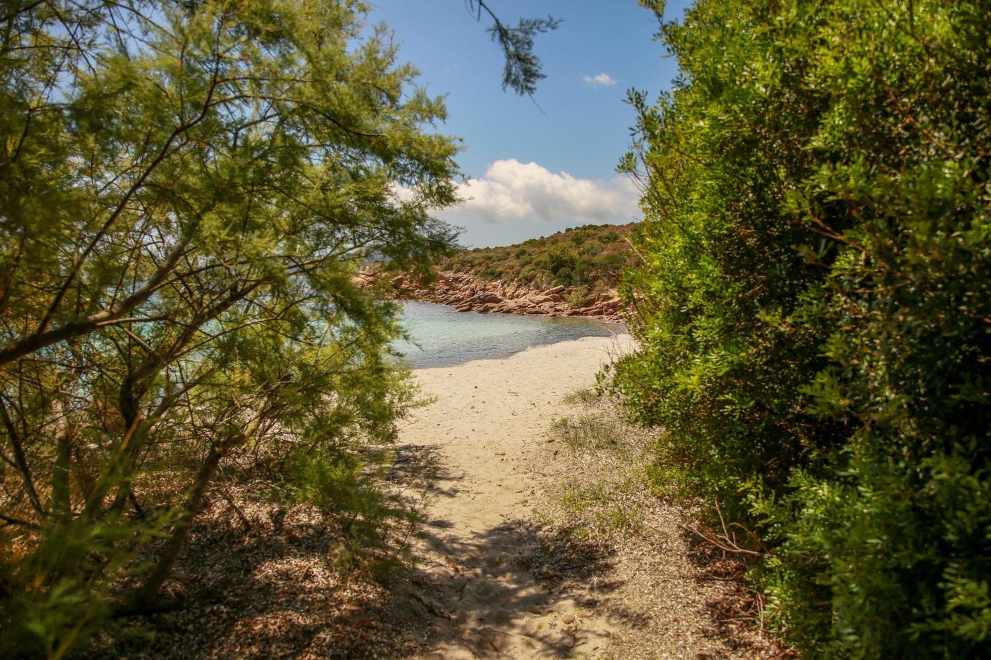 Le Berceau D'Asciaghju Palombaggia - Acces Plage Et Piscine Privee Πόρτο Βέκιο Εξωτερικό φωτογραφία